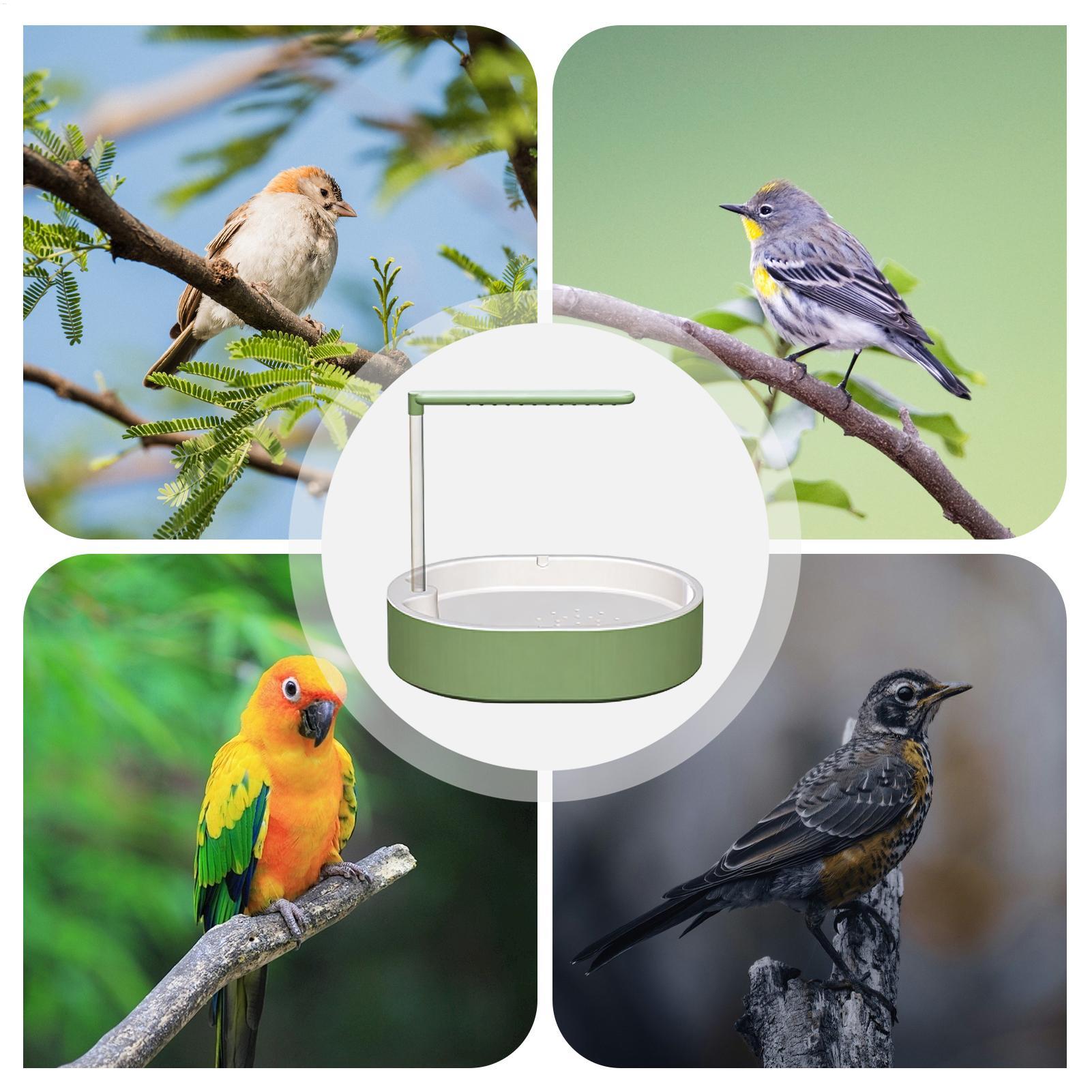 Fuente de Baño para Pájaros, B - Home Bath reseña y precio