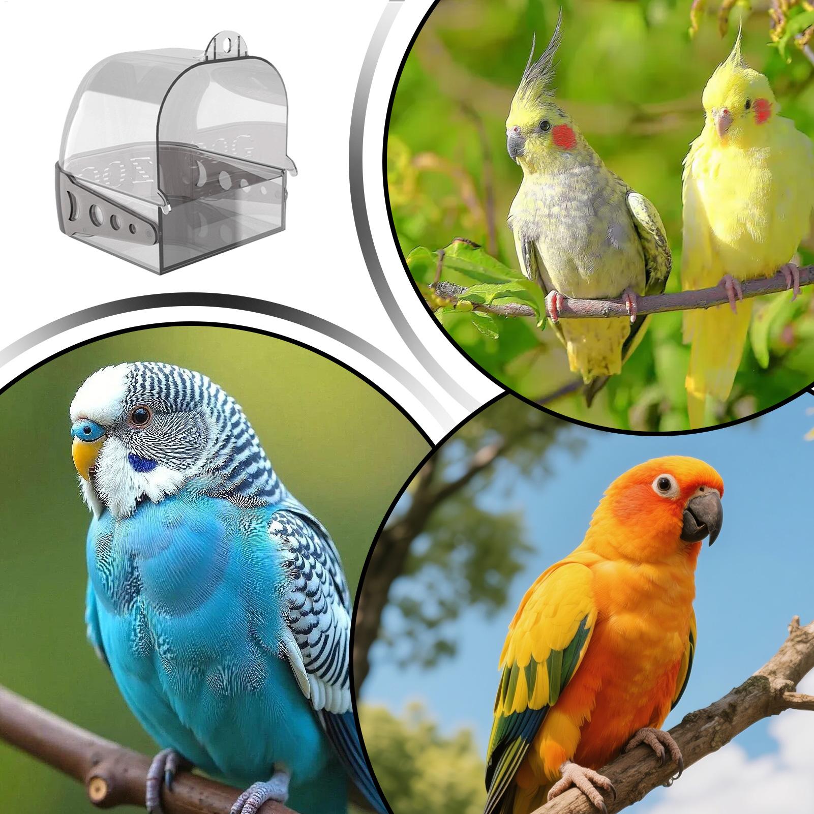 Baño para Pájaros para Jaula,  - Home Bath reseña y precio